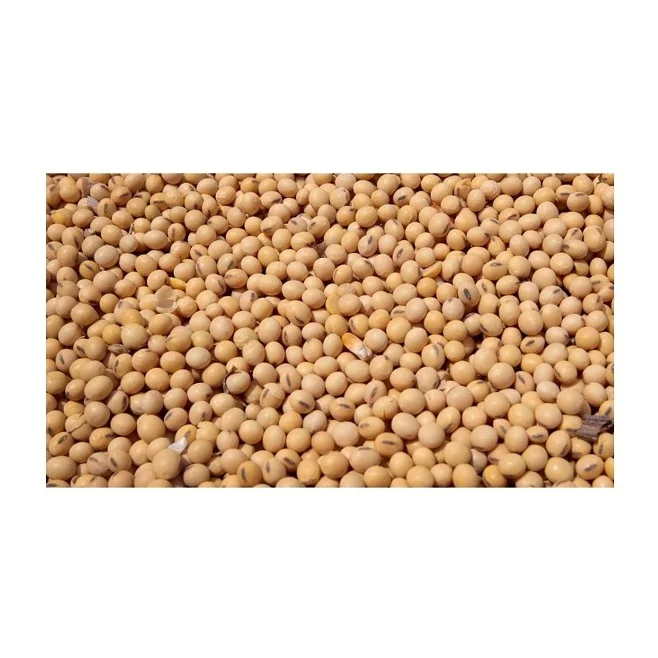 Wholesale Yellow Grade 1 Non GMO Soya/Soja/Soybeans Organic Soybeans (11000007898408)