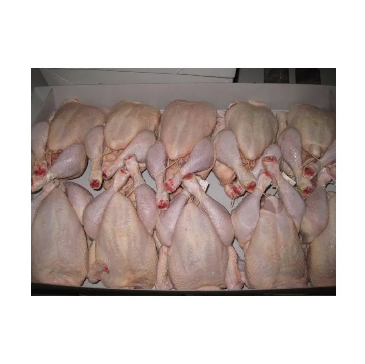 High-Quality Frozen Whole Chicken - Food Grade