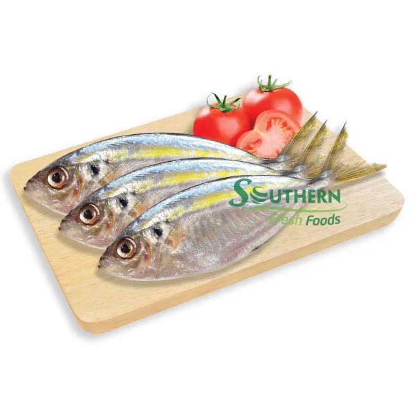 Packaging standard for export nature fish seafood Frozen Yellow Stripe Trevally Sea Fish Wild Caught SFF from Vietnam