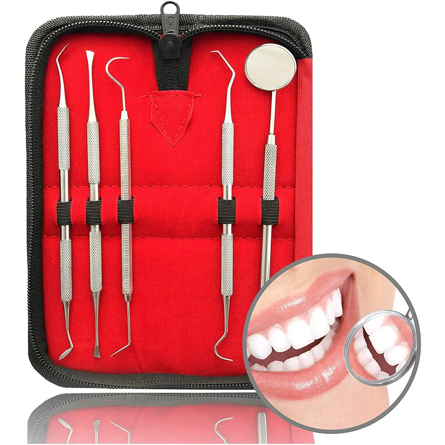 Dental Examination Kit Stainless Steel Dental Basic Examination Kit of 5 Pcs with Leather Case