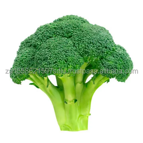 fresh-broccoli-500x500.jpg