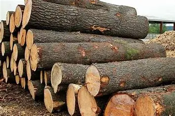 Timber LOGS..003.jpg