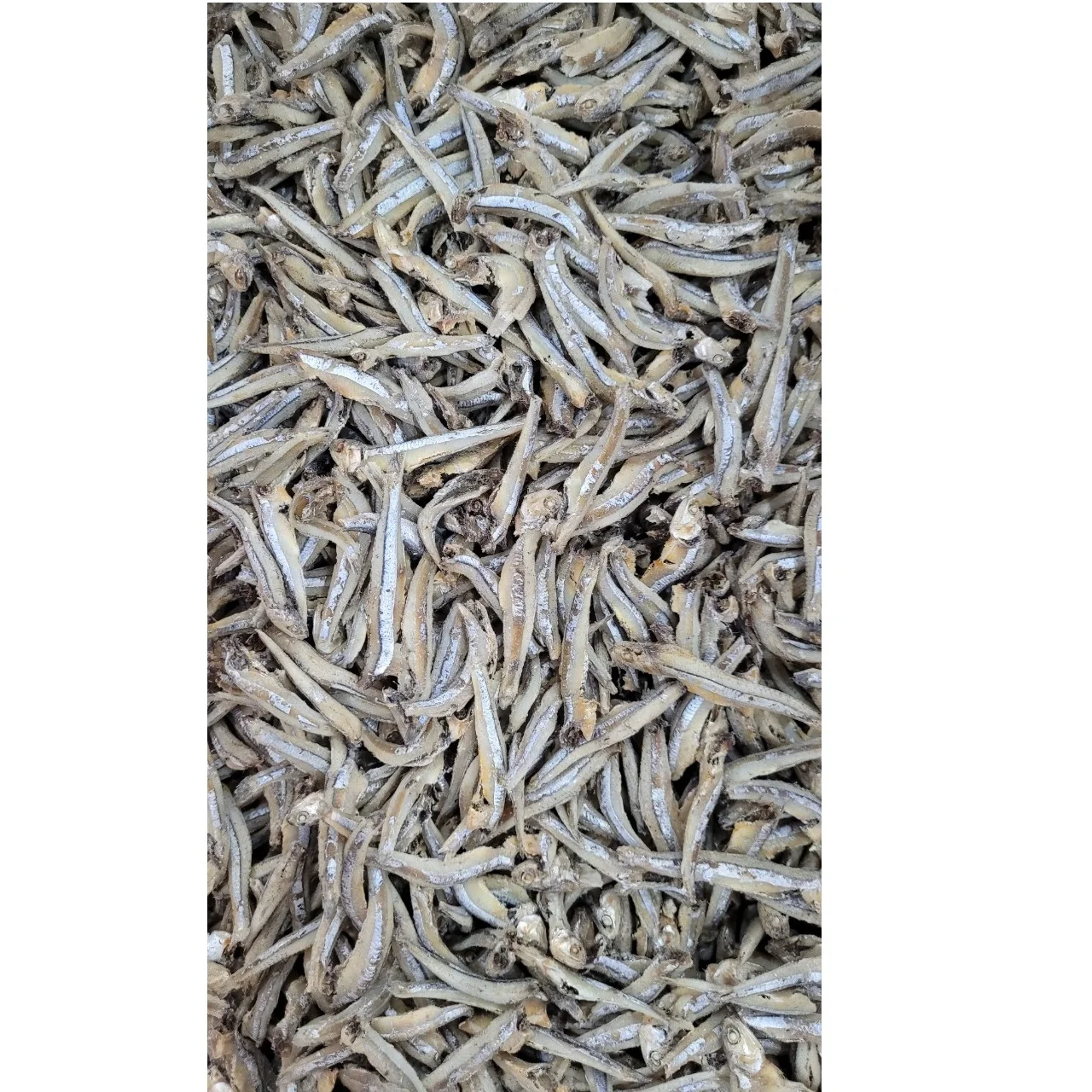 Salt 10kg Quality Piece Shape Steamed Seafood Vietnam Ho Nam Dried Anchovy Large Dried Anchovy Fish In Bulk Packaging