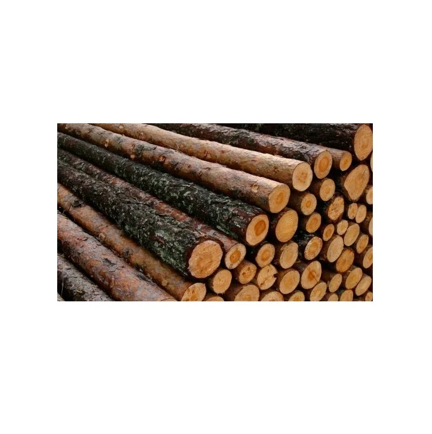 Original Quality Hard Wood Round Logs Wholesale Best Price