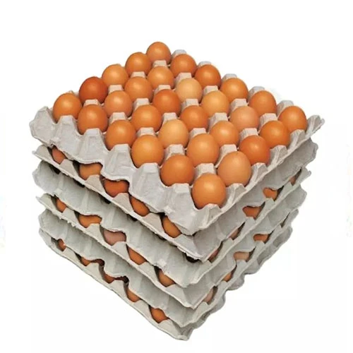 Свежие куриные столовые яйца и оплодотворенные инкубационные яйца, коричневые яйца по низкой цене, поставки из Германии