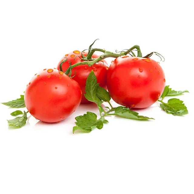 Оптовая продажа качественного томатного масла по хорошей цене, свежие помидоры из этава, Уттар-Прадеш, Индия