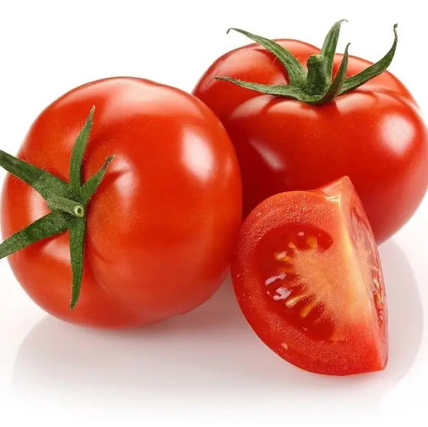 Fresh Tomatoes Fast Shipping High Quality Export Orined Direct Factory Wholesale Cheap Price Tomato From Bangladesh