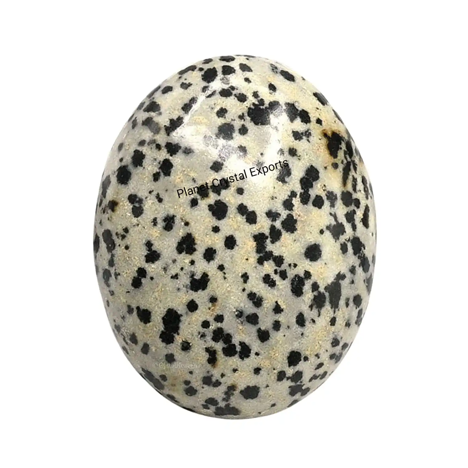A One Quality Natural Dalmatian Stone Round Shape Small Jasper Palm Loose Gemstone Wholesale Lot for Gift