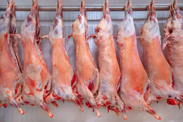 2022  HALAL FRESH FROZEN GOAT/ MUTTON MEAT/ LAMB MEAT