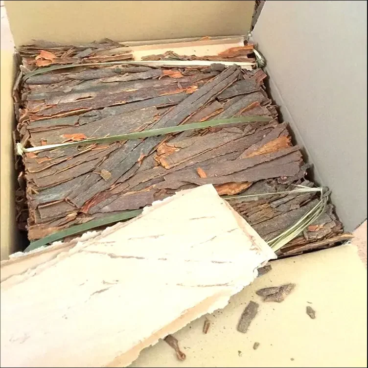 Factory Wholesale Customized split cassia cinnamon thin split cassia