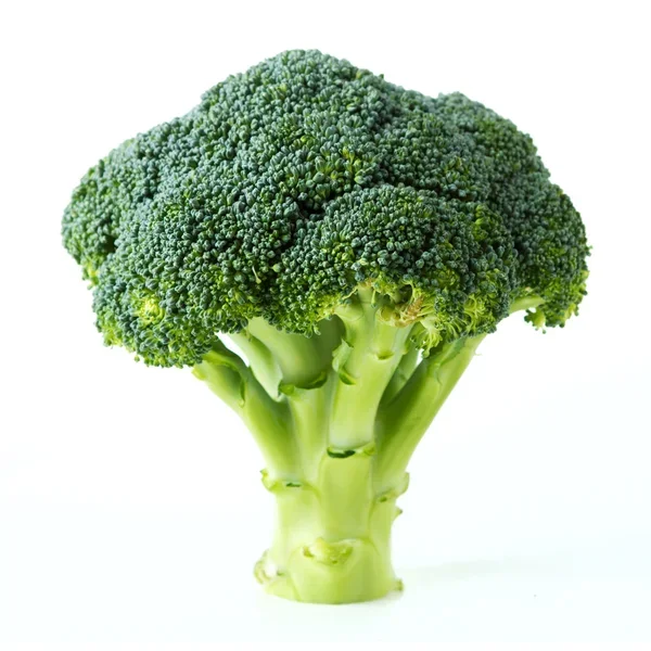 Best Selling Broccoli At Wholesale Prices From India
