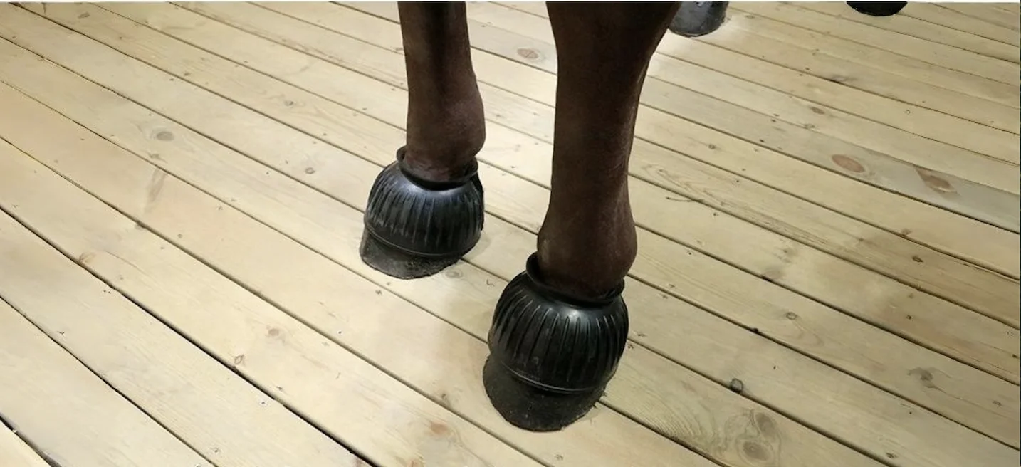 Horse Bell Boots Protect Against Hoof Impact Trauma Rubber Horses Care Boots Turnout No Rub Design Comfort Quick Wrap Hook Loops