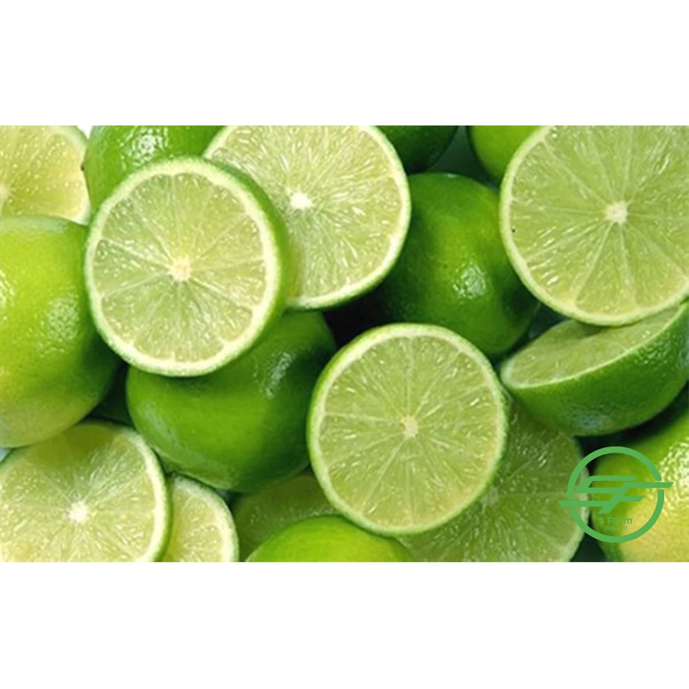 High quality citrus fruits Green Count Sweet Lemon Vietnam Lemons Natural Fresh Lemon For Export In Bulk