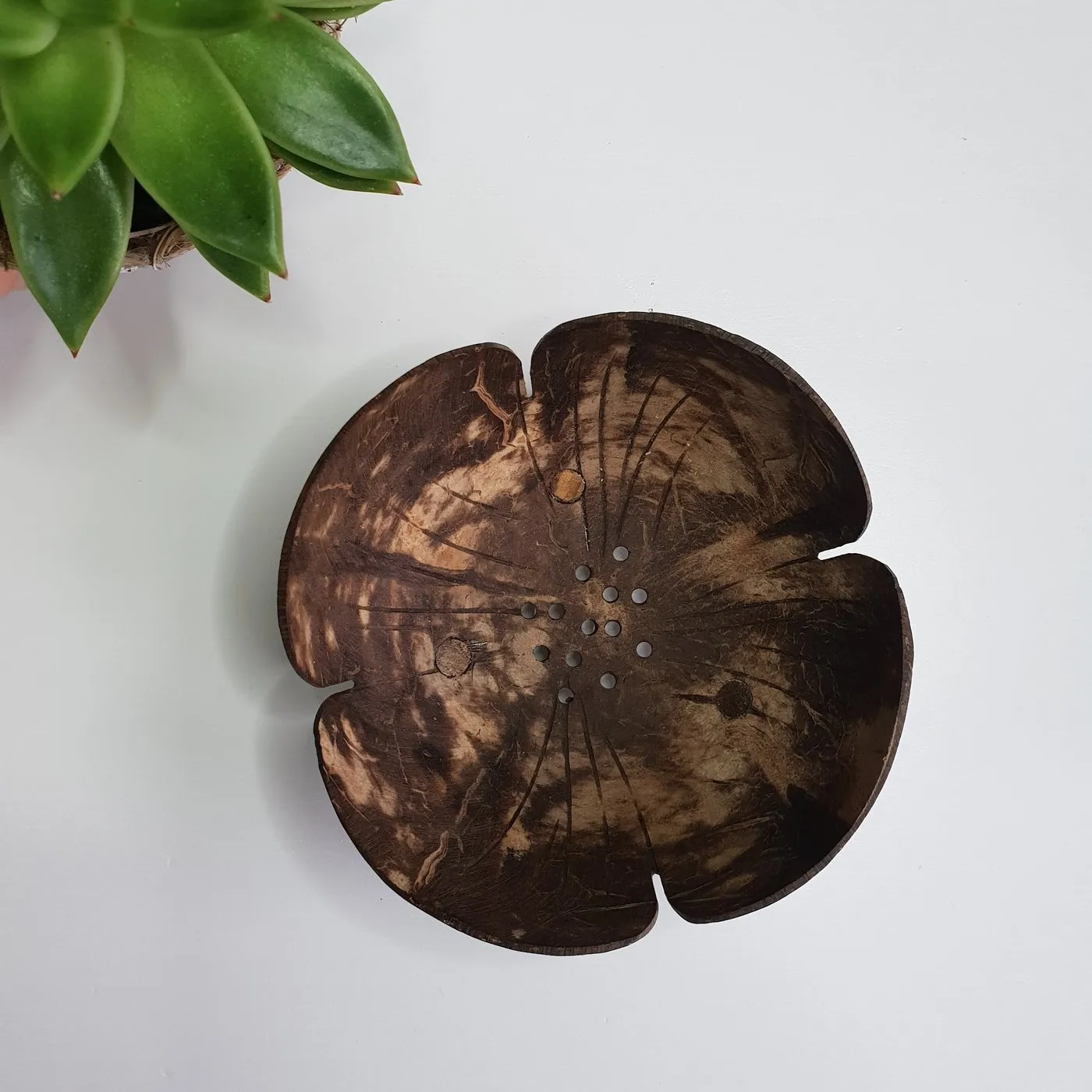 Sustainable small kids baby soaps dish handmade natural coconut shell stand holder soap bar rack for bath room decor