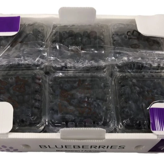 Хороший вкус IQF свежие черничные цельные замороженные фрукты IQF замороженные фрукты