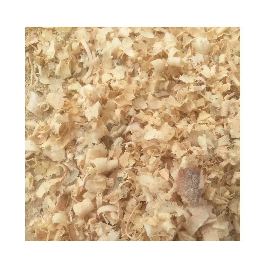 Fine Cut Oud Aloeswood Saw Dust Powder Suppliers/ Wood Shaving For Horses