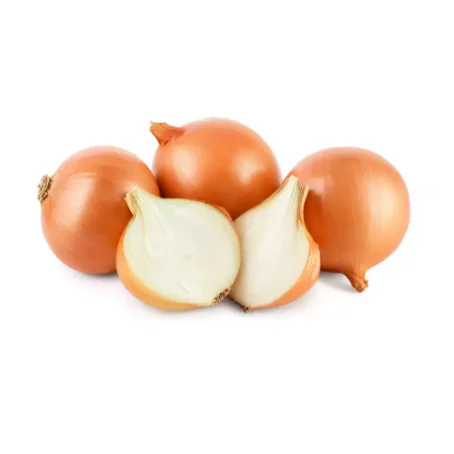 09000 (2).png