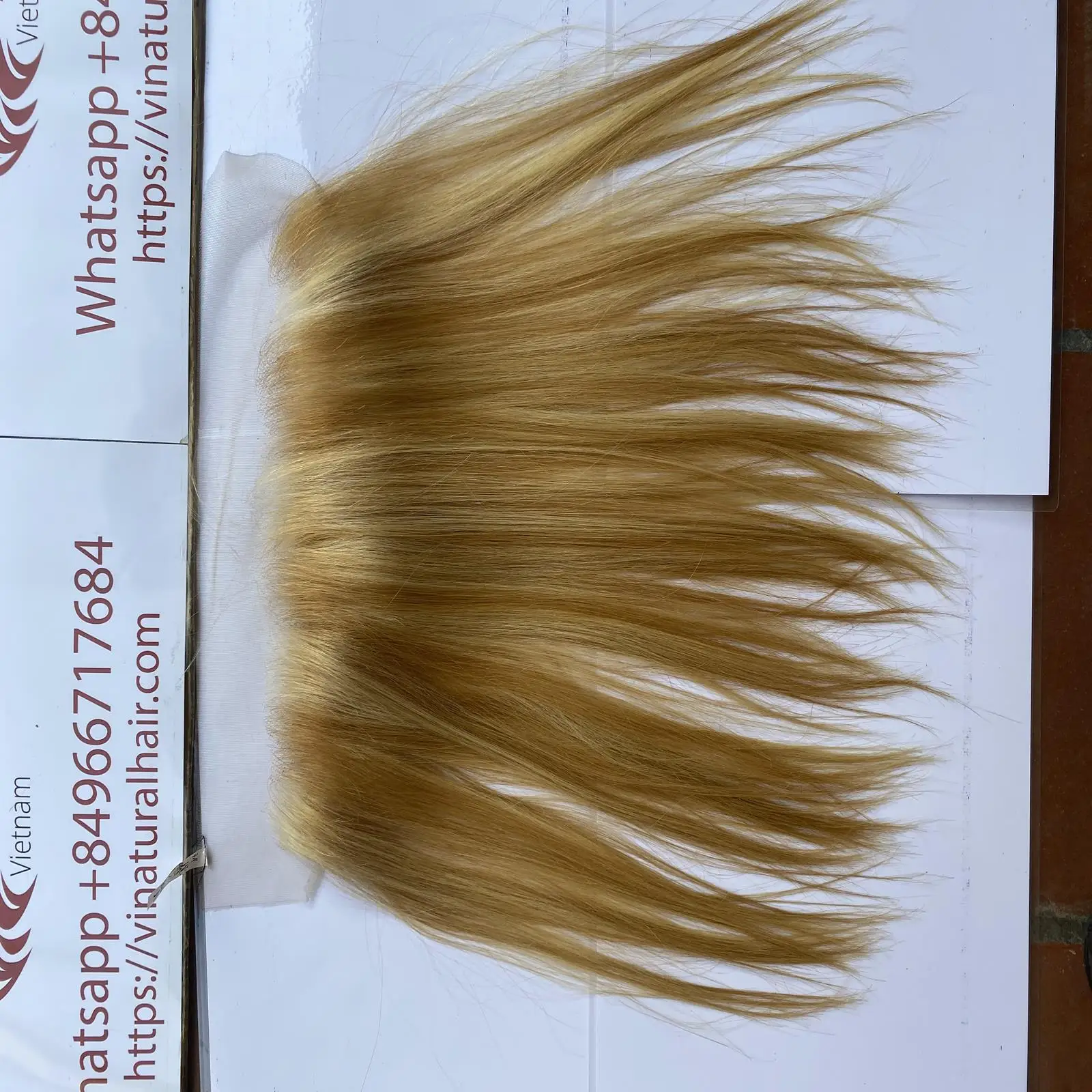 Оптовая продажа HD кружевные фронтальные каштановые 100% натуральные вьетнамские человеческие волосы прямые накладные парики для черных женщин