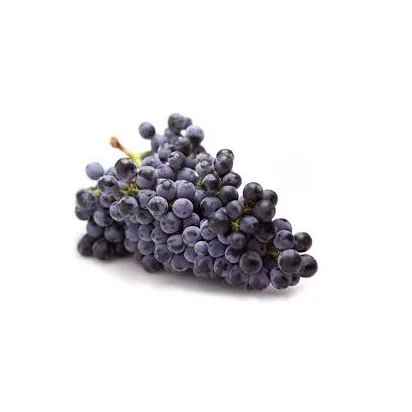 Best Selling Premium Black Grapes with Good Sweet Content and Flavorful Available at Wholesale Price from Indian Exporter