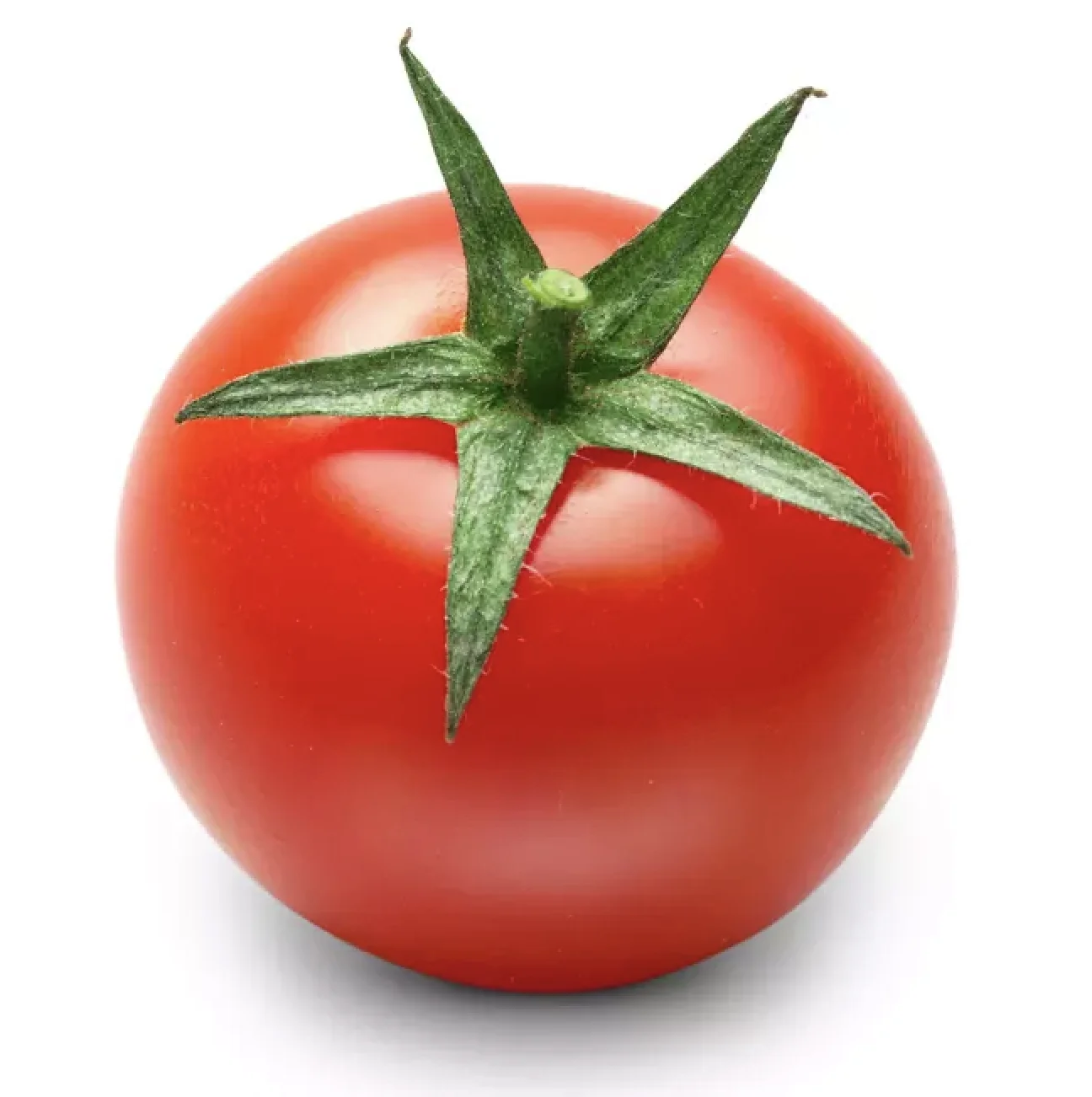 PREMIUM QUALITY FRESH TOMATOES GREEN CHERRY RED INDION BOX TOMATO EXPORT