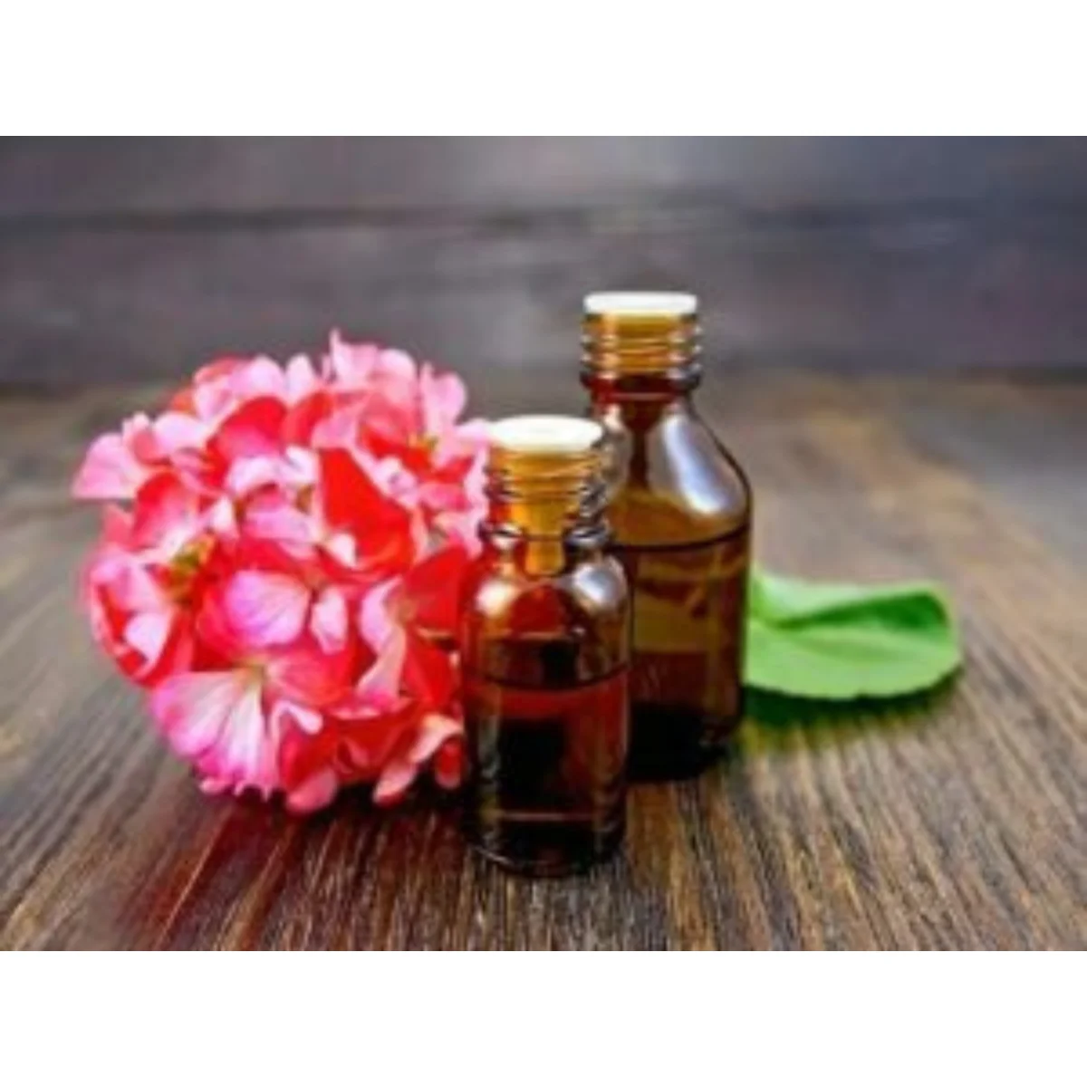 100% Natural Organic Monarda (Bee Balm) Essential Oil