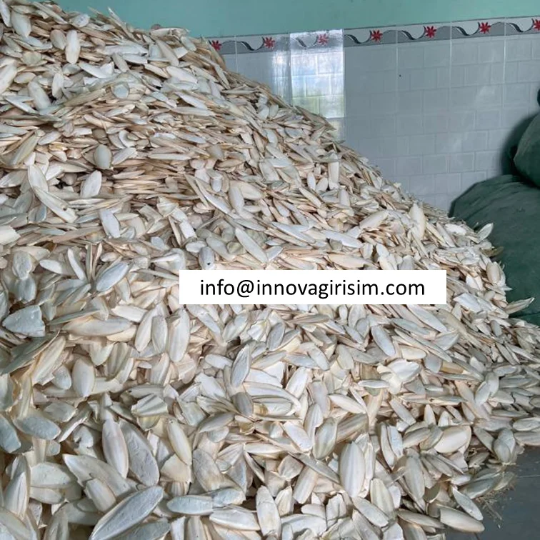 BEST PRICE CUTTLEFISH BONE Natural White Dried Bird Food Squid Cuttlebone for Bird Nutrition Supplement Cuttle fish Bones