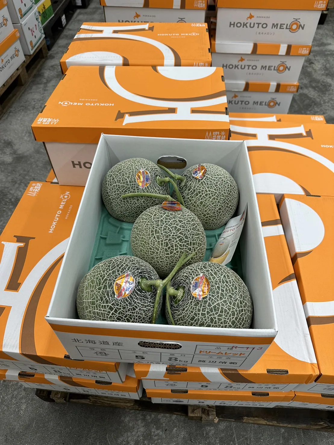 Bulk Fresh Japanese Red Flesh Dream Red Musk Melon