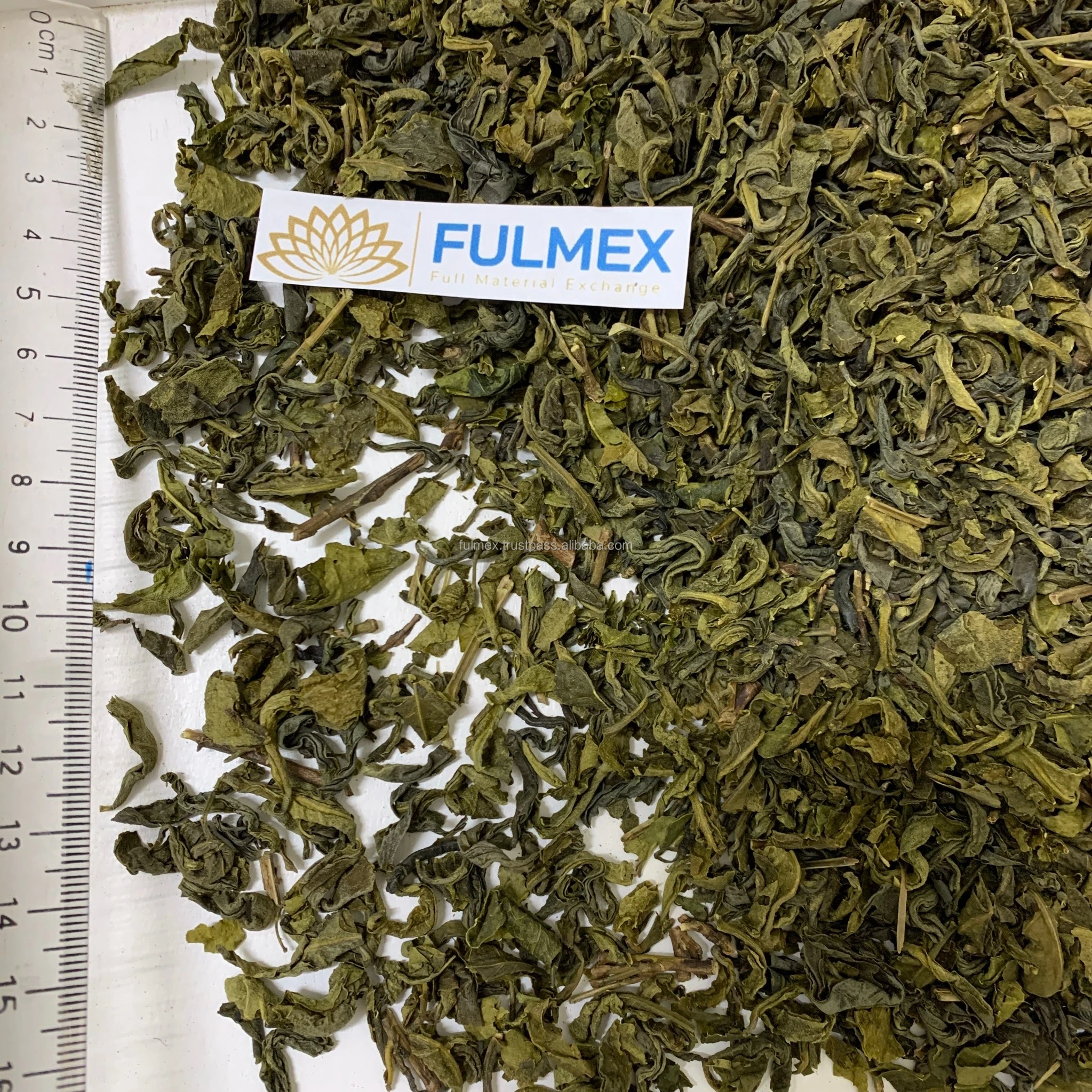 Beverages OP fresh healthy herbal green tea for weight loss in bulk quantity at wholesale price ready in stock