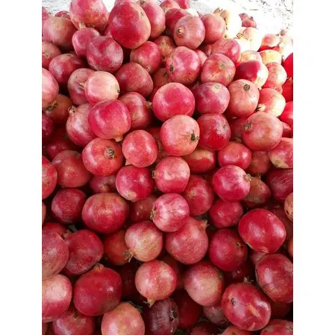 Best Quality Wholesale 100% Natural Sweet Delicious Egypt Origin Fruits Red Fresh Pomegranate