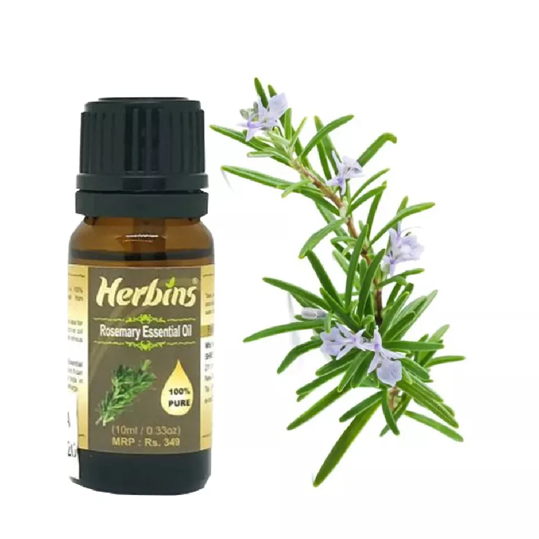100% Pure Rosemary Oil For Anti-Inflammatory and Pain-Relieving Rosemary Oil For Skin Massage Care In Cheap Price