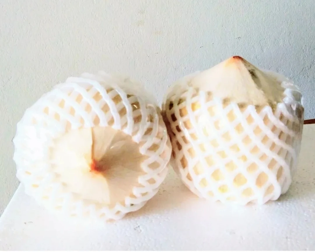 Premium Fresh Young Coconut 9 Pieces per Carton From Thailand Wholesale OEM High Quality Export Grade