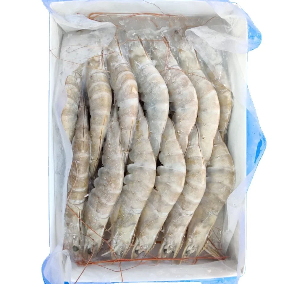 High Quality Giant Frozen Fresh Black Tiger Shrimp