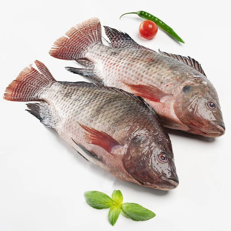 Popular items Market Wholesale Factory Packaging Hot Sale Frozen Hilsha Fish Stock Fish Fresh Season Fish From Bangladesh