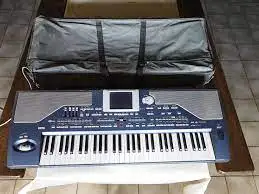 Brand New Amazing KorgS PA800 61-Key Professional Arranger Keyboard Worldwide fast delivery