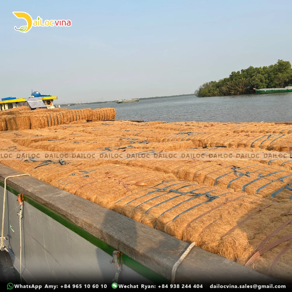 COIR FIBER COCO FIBER FOR ROPE RAW MATERIAL MADE IN VIETNAM