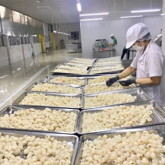 Консервированный фруктовый личи в сиропе-Ms. Julie + 84