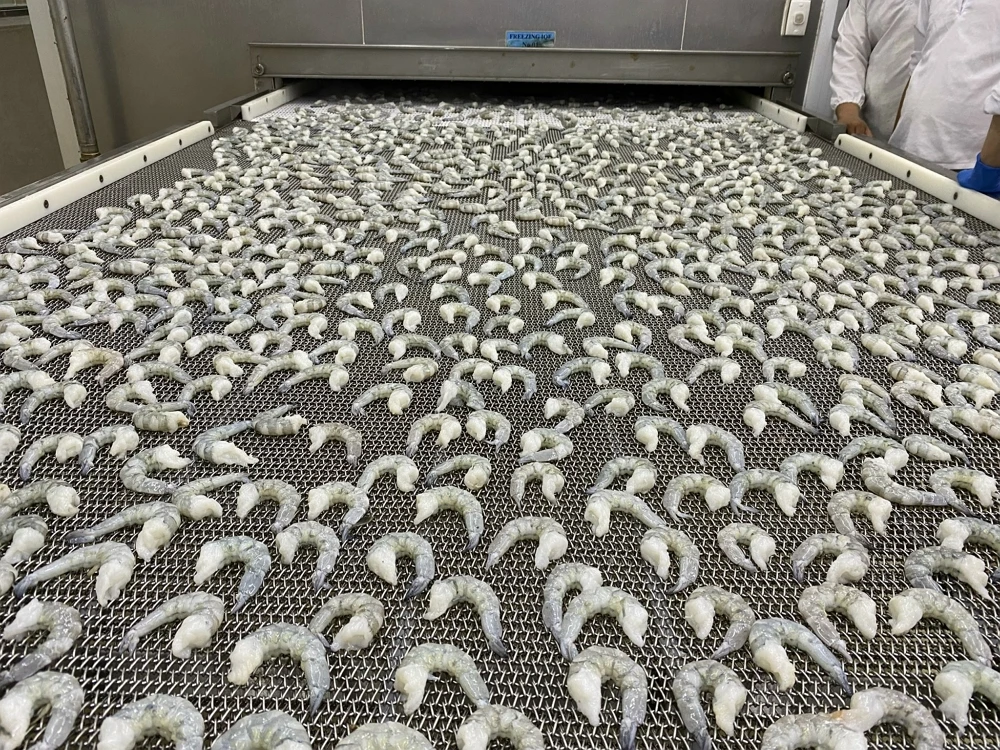 Hot Selling Black Tiger Shrimp PD IQF Frozen 100% Natural Fresh Seafood Best Quality Wholesale Suppliers