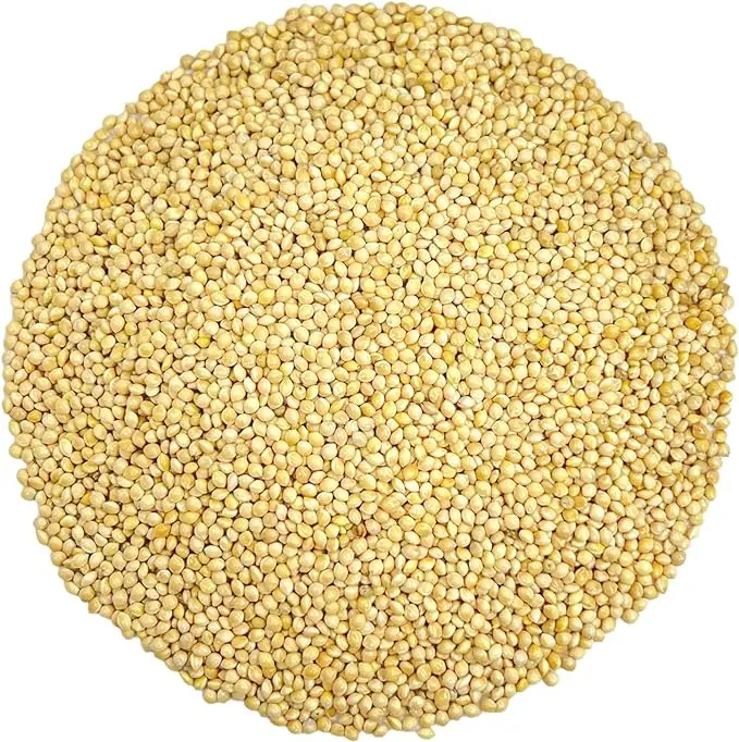 Hulled White Sesame seeds
