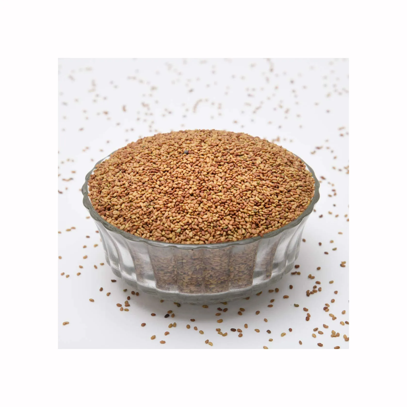 Organic Alfalfa Seeds for Sprouting Non GMO Sproutable - by Food To Live