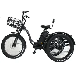 Electric fat Bike 3 Wheel Cargo Bicycle For Adult Electric Trike Tricycle