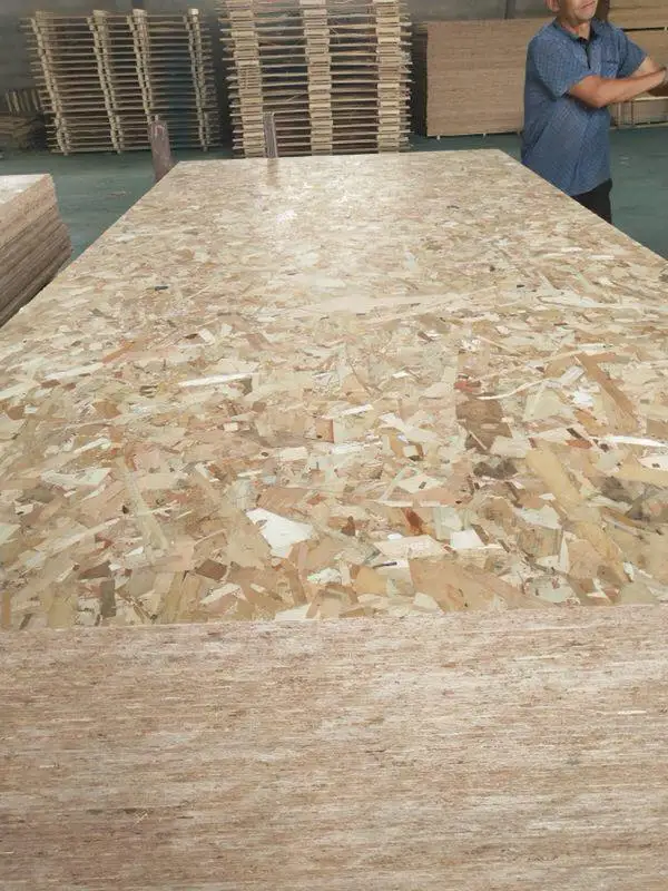 OSB Board for Construction