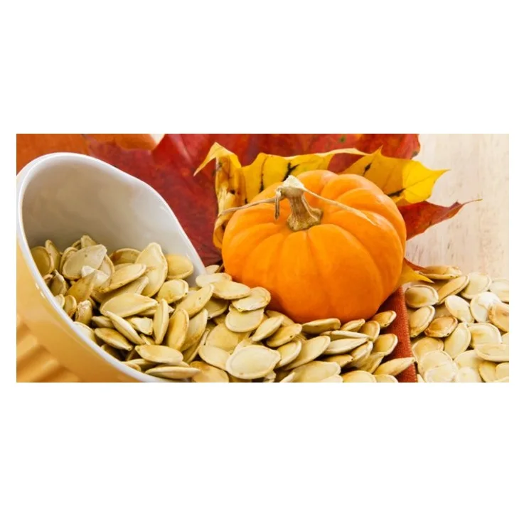 Wholesale Supplier Of Bulk Fresh Stock of Dried Organic Pumpkin Kernels/pumpkin seed
