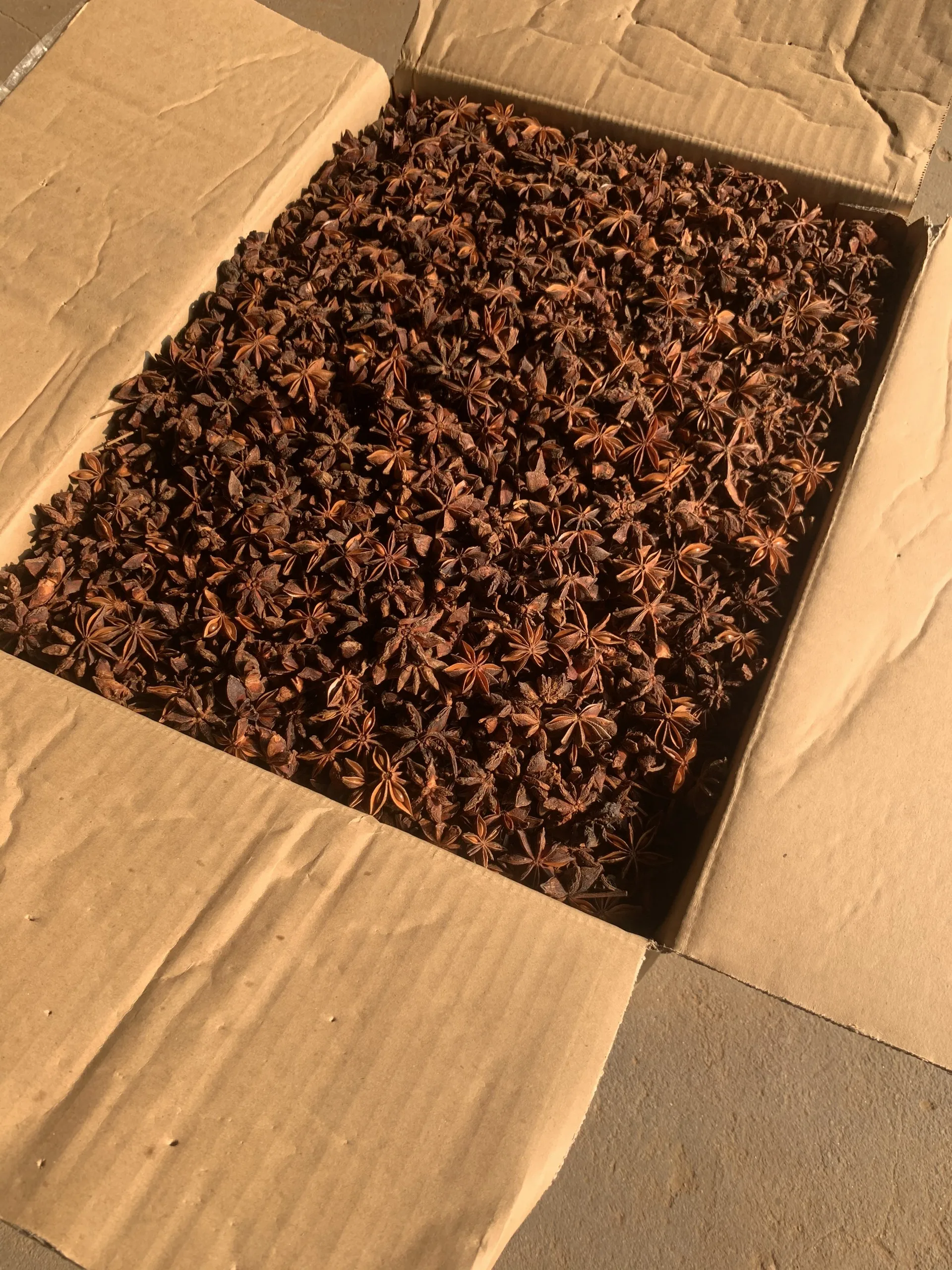Лидер продаж высококачественный сушеный Звездный анис на экспорт 2024 используется в качестве специй и трав
