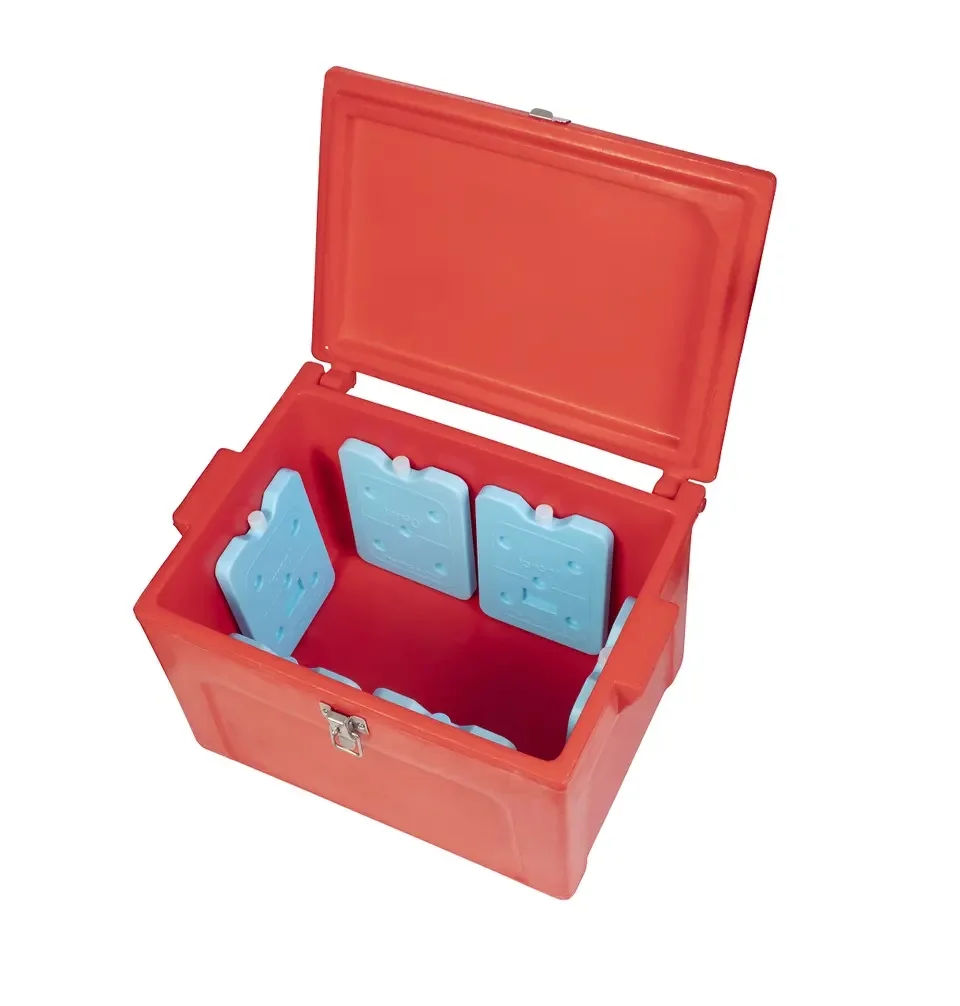 Top Selling Tan90 25 Liter Ice Box with 20-1000 L Capacity for Flowers Tofu Fish and Meat Available at Best Price