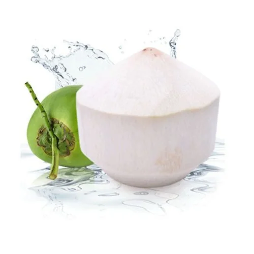 Ben Tre siamese coconut water diamond shape has the aroma of coconut with a sweet taste from factory Vietnam