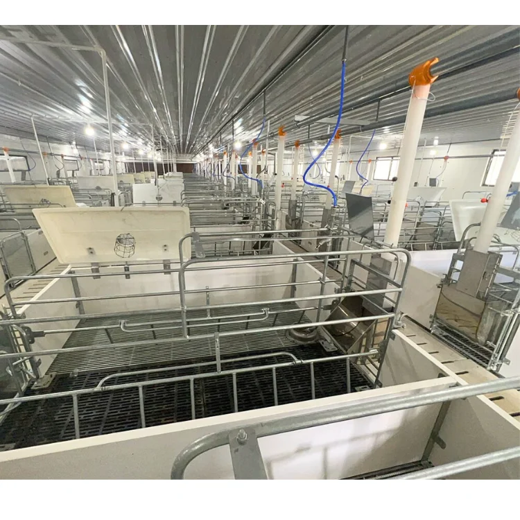 Pig Breeding Equipment Pig Farm Farrowing  Hot-Dip Galvanized Vietnam Manufacturer Cheap Price
