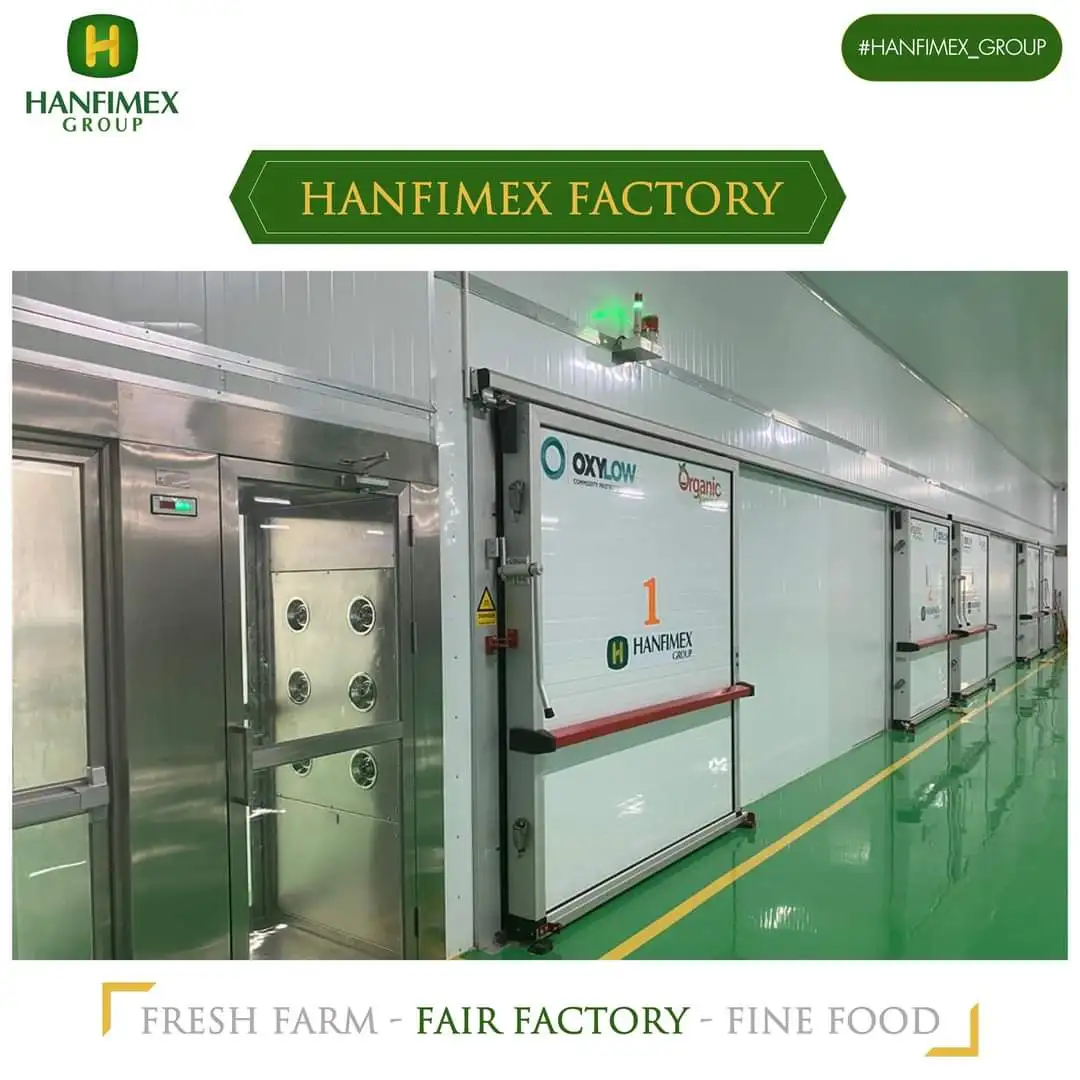 VIETNAM CASHEW NUT W320 NEW CROPHIGH QUALITY BEST PRICE BRC FOOD TOP SUPPLIER HANFIMEX GROUP