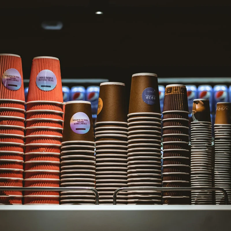Wholesale Custom Print Logo Disposable Biodegradable 6oz 12oz Single Double Wall Take Away Hot Cold Coffee Paper Cup With Lids