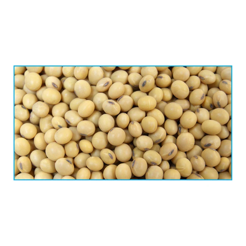 Wholesale Yellow Grade 1 Non-GMO Soya/Soja/Soybeans Organic Soybeans