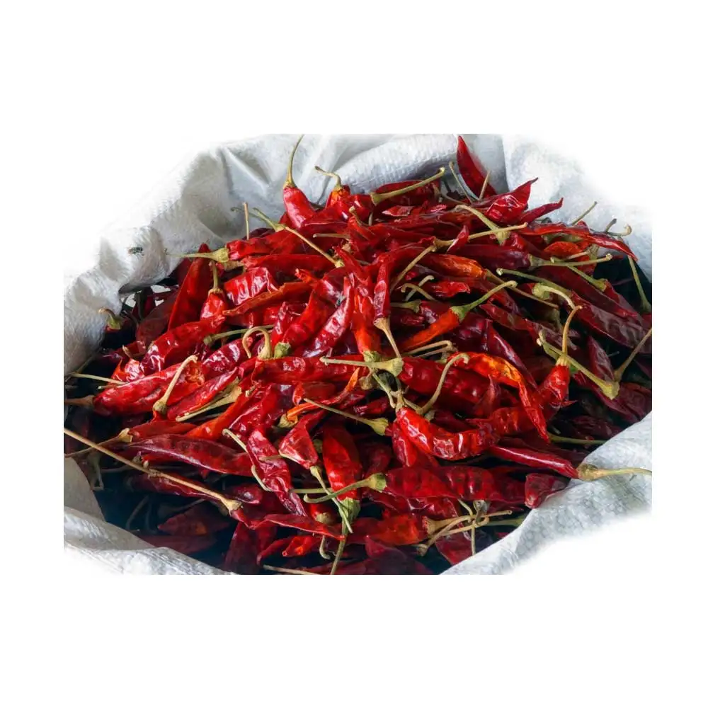 Wholesale Nature Herbs and Spice Red Dried Chili